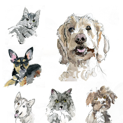 Commissioned Pet portraits in Watercolour, View more