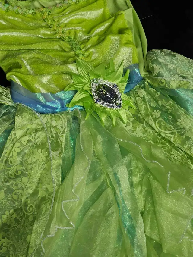Princess Tiana costume,  dress  in Costumes in Oshawa / Durham Region - Image 4