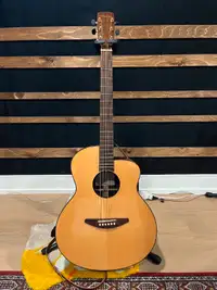Baden A-Style Rosewood Acoustic Guitar