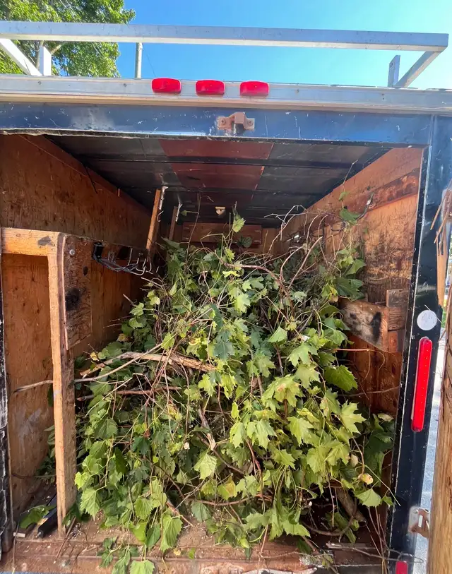 Junk Removal London Ontario600952445306808323