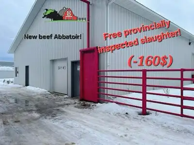 provincial slaughter beef, View more