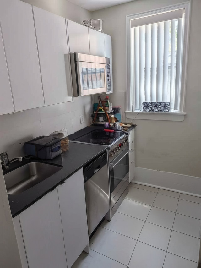 Bright 1-Bdrm Apt Across Broadview Station - Parking, Laundry in Long Term Rentals in City of Toronto - Image 4