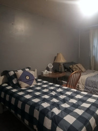 Private Room for Rent (2 Females)
