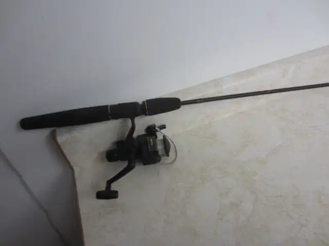 Fishing Rods & Reels in Fishing, Camping & Outdoors in Ottawa - Image 4