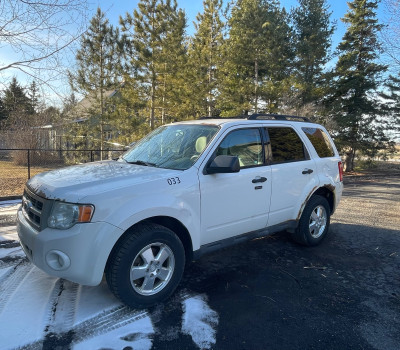 Ford Escape XLT 4WD 