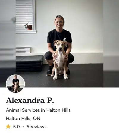 Now booking for December! Fully insured & experienced dog handler. $20 off your first booking by sca...