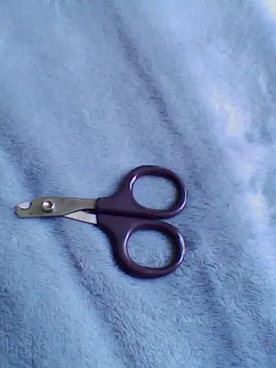 Cat nail clippers, View more