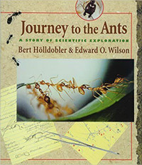 Journey to the Ants A Story of Scientific Exploration Hölldobler