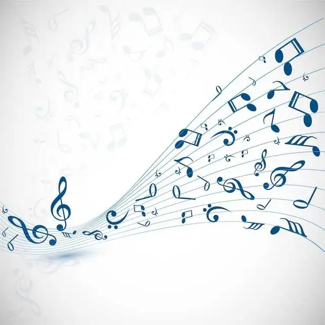 original singer guitar player wanted for duo
