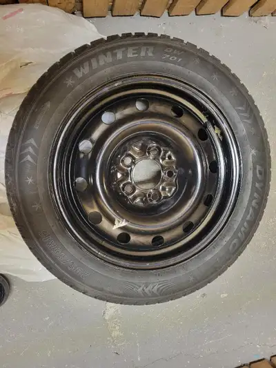 Brand new Winter Tires with stainless steel wheels The tires are Dynamo 205/55R16 and the nuts patte...
