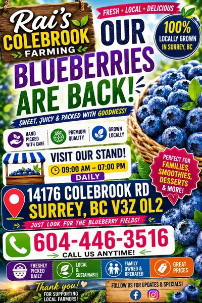 fresh Blueberries, View more