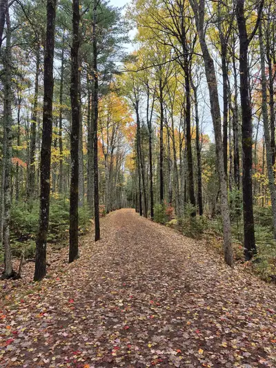 54m looking for younger hiking exploring buddy Moncton , View more