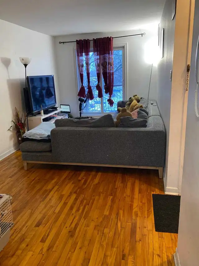 apparemment 4 1/2 a louer