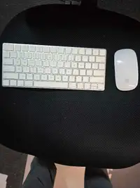 Mac Magic keyboard and mouse 