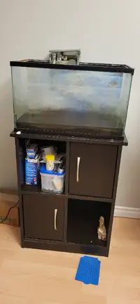 10 gallon tank and stand - $50 OBO