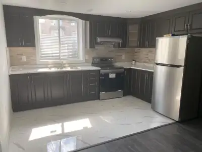 New Basement for Rent