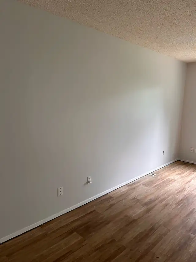 professional Interior Painting580567529487093768