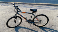 $80   Bike
