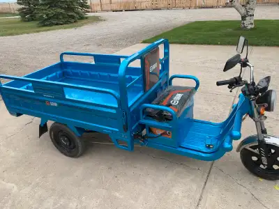 Electric tricycle 80 km/ charge 1 year powertrain warranty