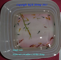 Shrimps Pack A (10 x Blues, 10 x Yellows, 10 x Fire Reds M