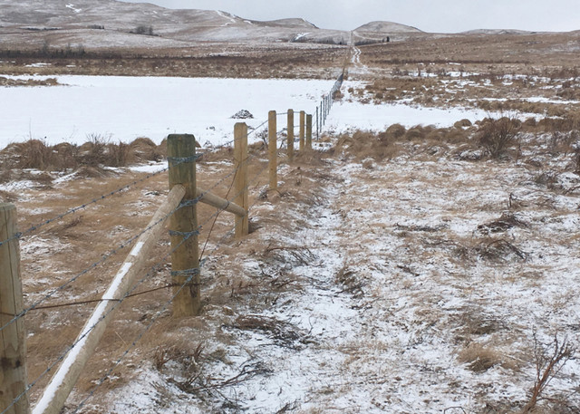 Livestock and Acreage Fencing in Livestock in Moose Jaw - Image 2