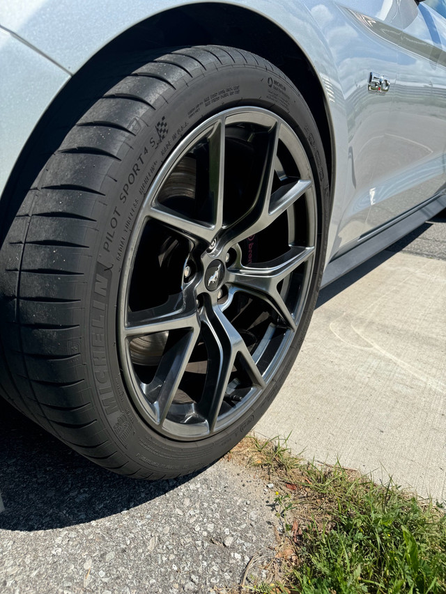 2019 mustang gt pp2 in Cars & Trucks in Barrie - Image 4