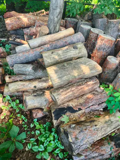 Pine logs. 3 foot max lengths.various diameters 12" max or so, View more