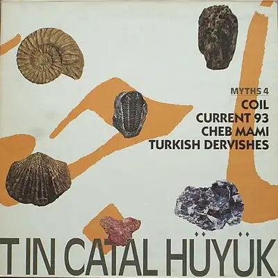 Coil/Current 93 vinyl record, View more