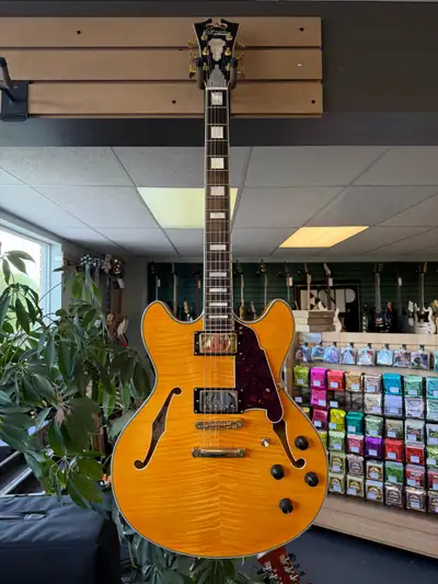 D’Angelico EX-DC Guitar, View more