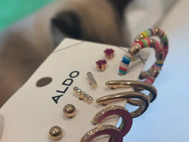 ALDO Earrings 6 Pairs63234628610435122