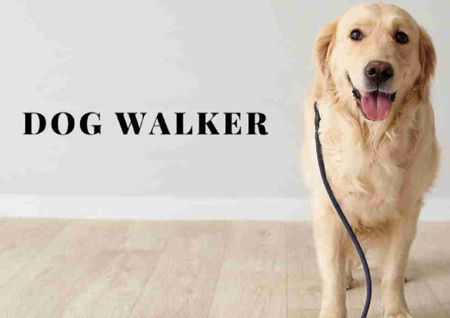 $5 Dog walking in Animal & Pet Services in Mississauga / Peel Region