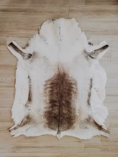 Beautiful full caribou hide, purchased approximately 5 years ago. It was displayed for about a year,...