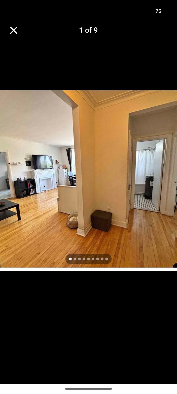 Bel appartement/Beautiful and spacious 1 Bdrm Apt. (1000 sq/ft) — photo 3