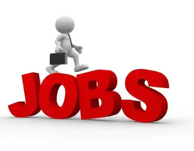 looking for a job, View more