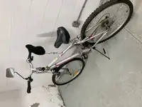 Adult Infinity Bicycle