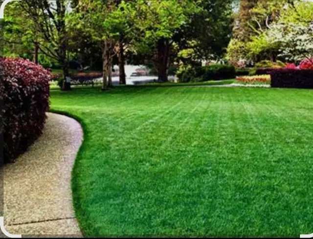 lawn and home exterior maintenance and care. in Lawn, Tree Maintenance & Eavestrough in City of Toronto - Image 2