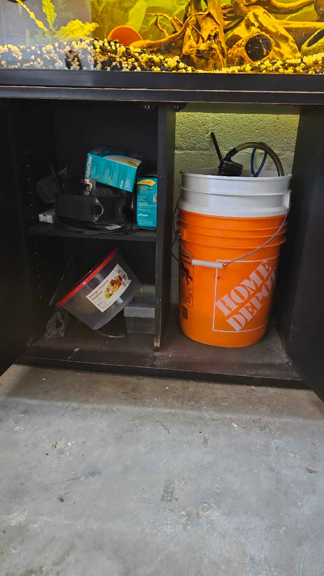 55 gallon tank in Other in Vernon - Image 2