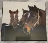 Petit cadre de chevaux 