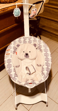 Fisher Price Deluxe Baby Bouncer