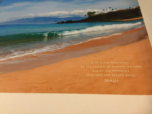 Rebecca Lowell Maui, Hawaii Canvas Print Signed Art - 11" X 14" in Arts & Collectibles in City of Toronto - Image 3