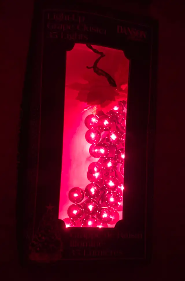 Light-up Grape Cluster 35 lights in Home Décor & Accents in Lethbridge - Image 3