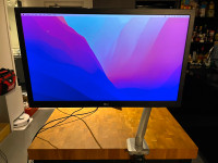 27" LG Monitor with Desk Mount Monitor Arm