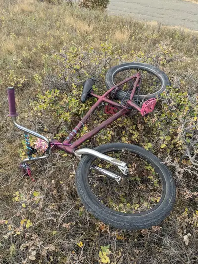 Ditched BMX Bikes, View more