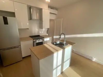 Appartement avec 1 chambre à louer pour le 1er juillet 2026 situé sur Drolet tout près de Saint-Zoti...