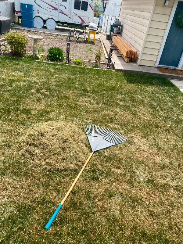 Lawn Care - Aerate and Power Rake $110 in Lawn, Tree Maintenance & Eavestrough in Calgary - Image 4