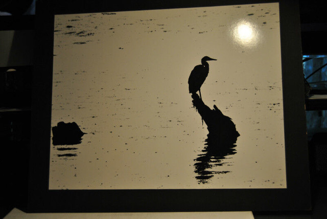 5 Pieces Photo Art Nature . Lot # 5 in Arts & Collectibles in Vancouver - Image 4