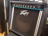 Peavey envoy  110 guitar amplifier