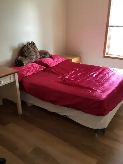 1 Private room in 2BR Downtown apartment
