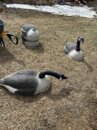 Goose decoys