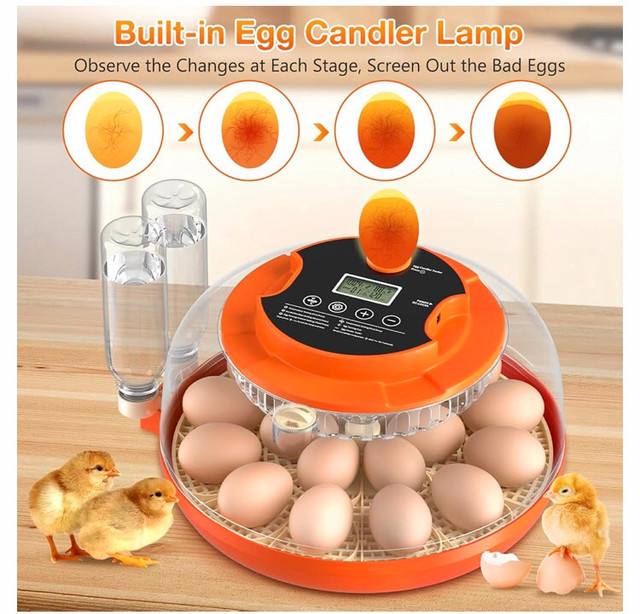 Nosju Egg Incubator with Automatic Egg Turning & Humidity Contro in Accessories in City of Toronto - Image 4
